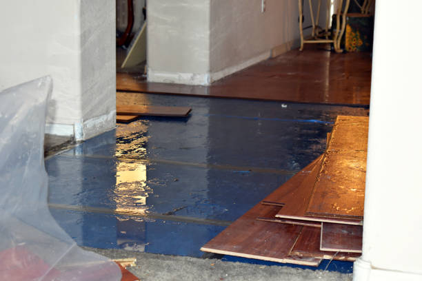 Professional Water Extraction technician working in Buckley, MI